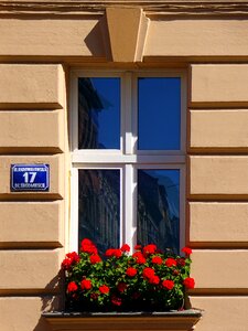 House the old town façades photo