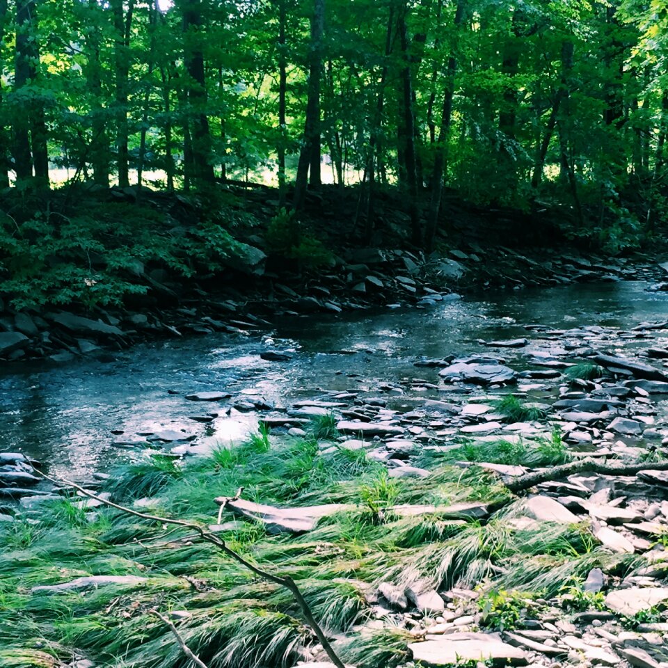 Nature park river