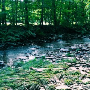 Nature park river