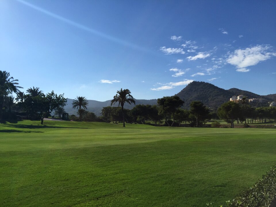 Golf course landscape tree travel