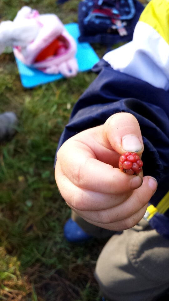 Nature education forest kindergarten