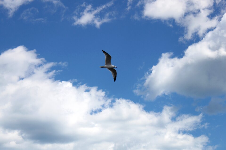 Wind clouds background