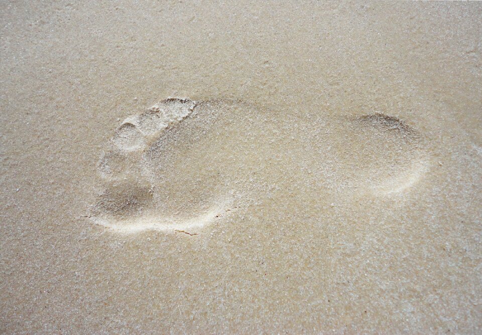 Foot human brands
