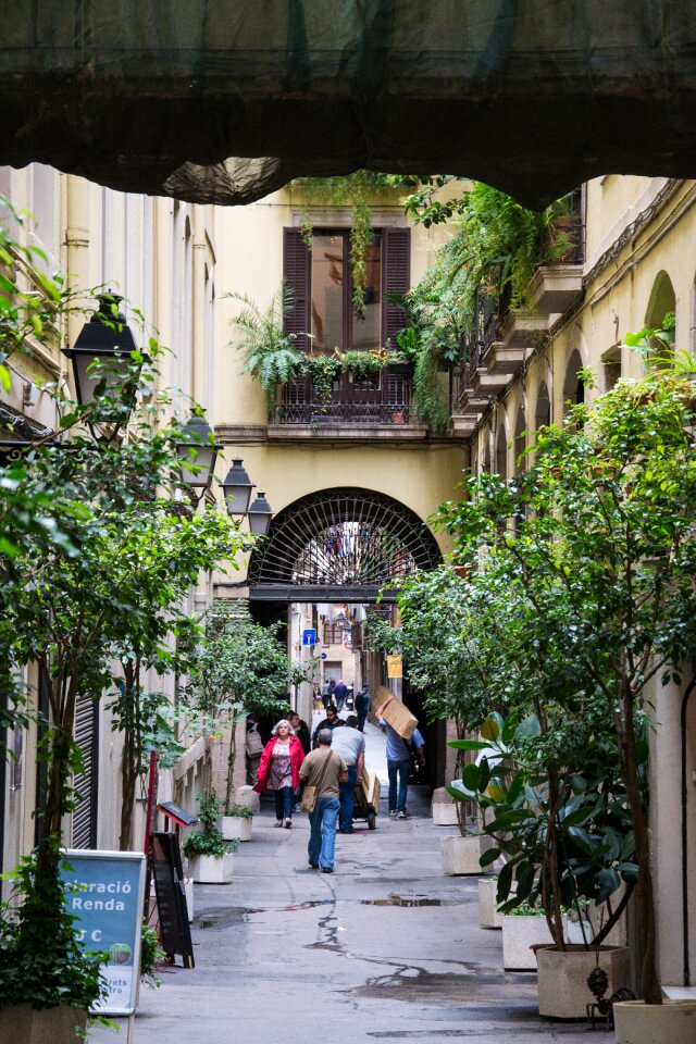 Historically house alley