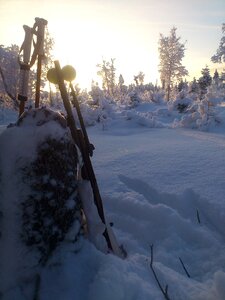Snow morning sun