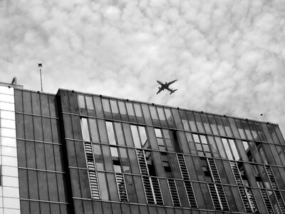 White black and white flying photo