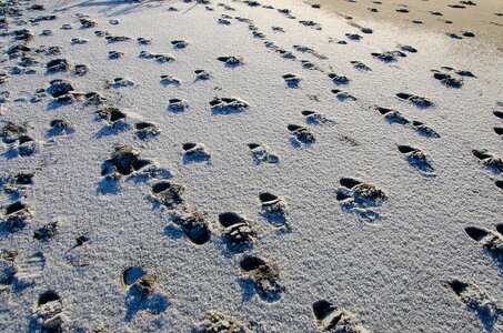 Walk seashore seaside