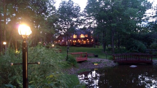 Buffalo park evening