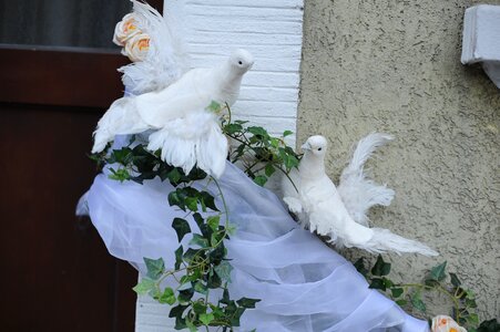 Marriage decoration white doves photo