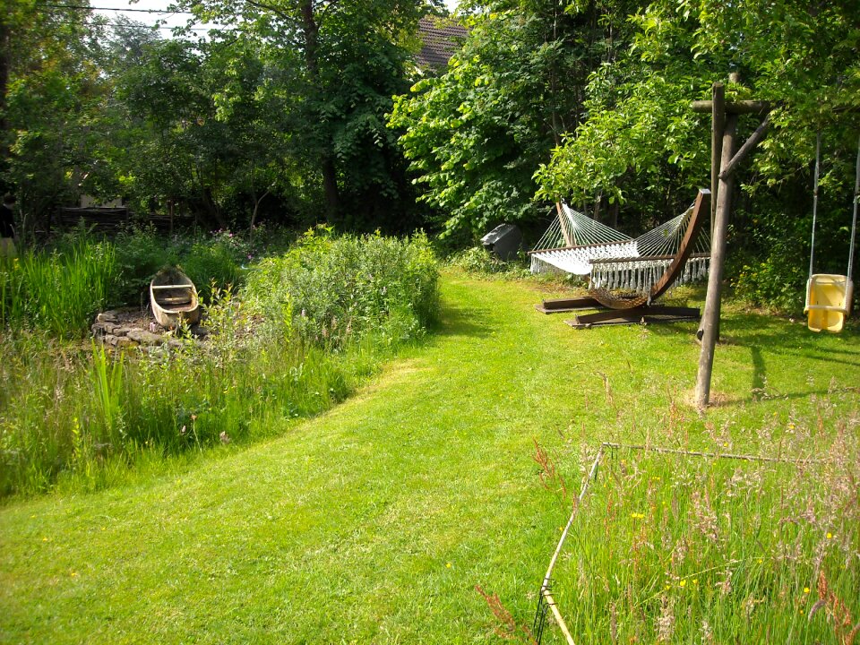 Trees grass pond