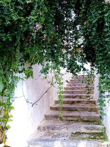 Historic center gradually alley