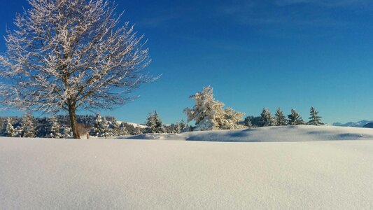 Blue white snow