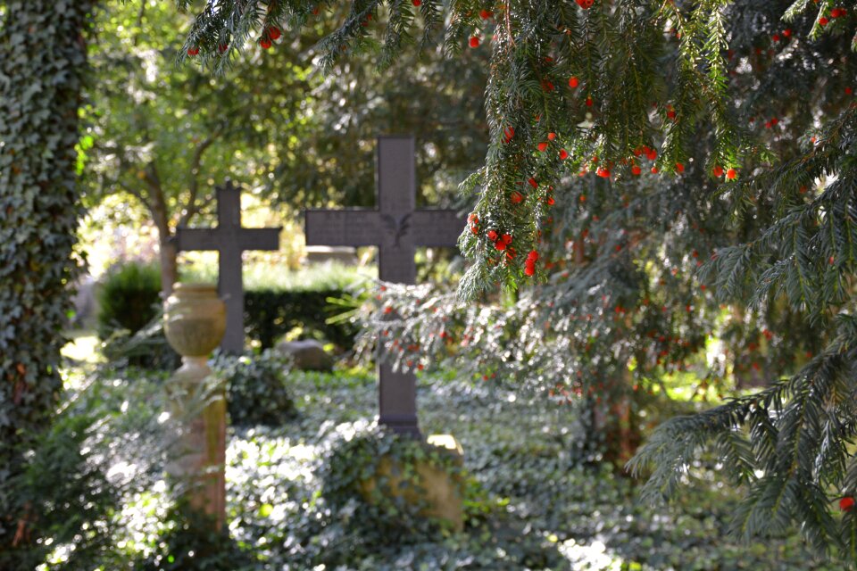Bornstedt grave hope
