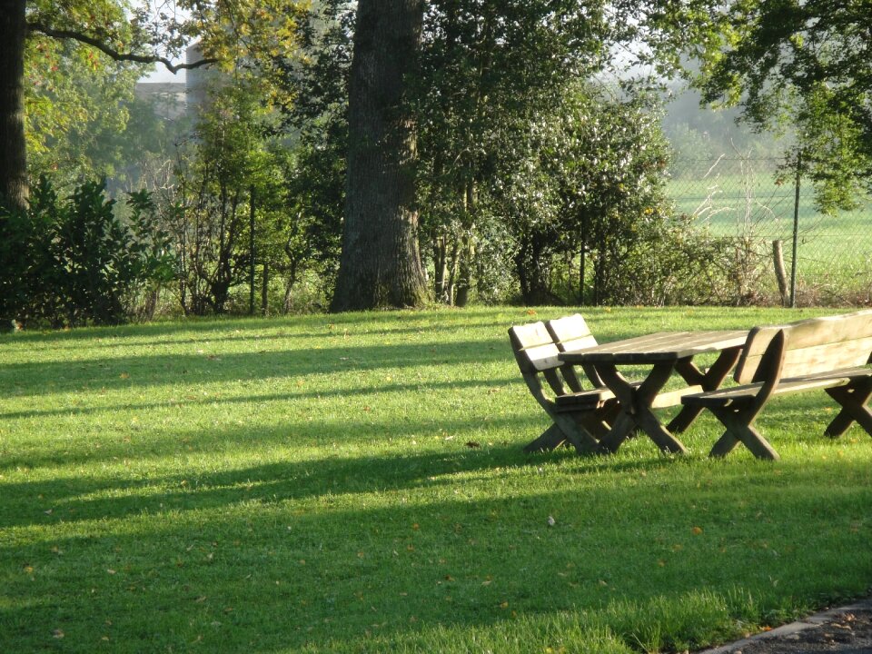 Wooden bench table garden photo