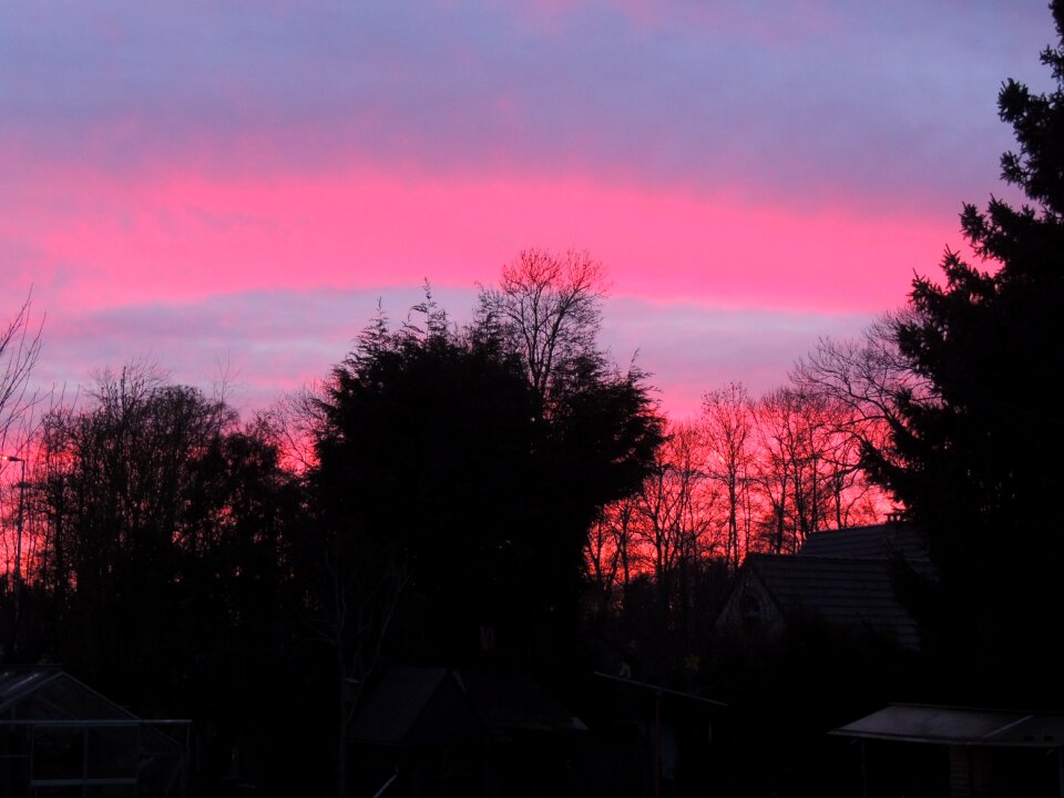 Pink sky twilight