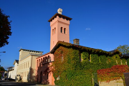 Bornstedt sanssouci wedding