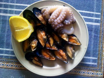 Black mussels mussels mollusc