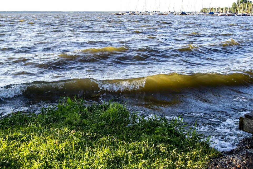 Wind lake nature