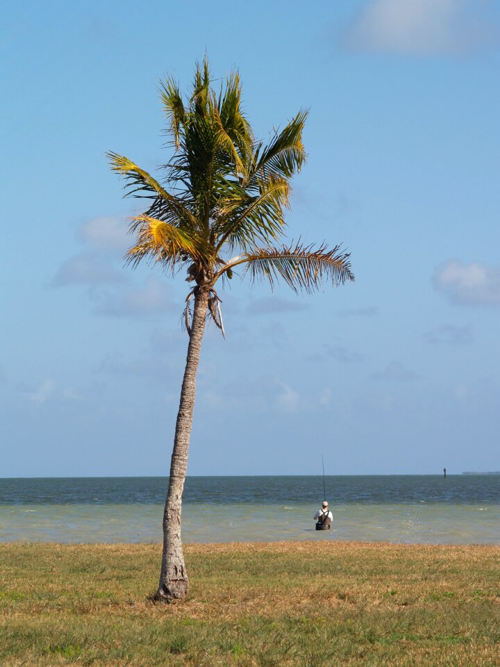 Paradise fisherman sea