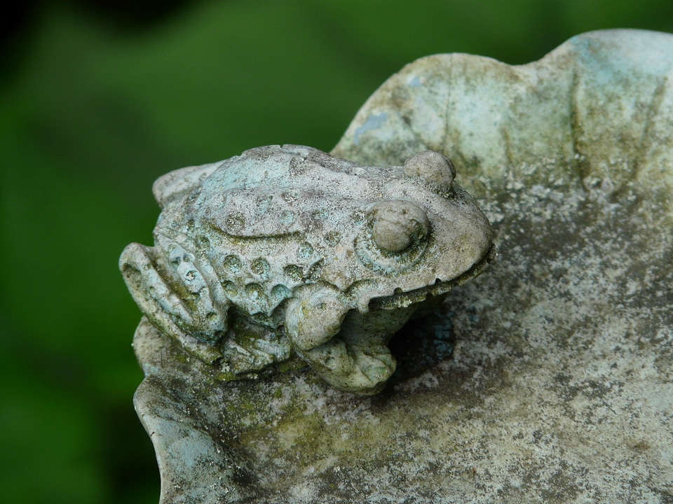 Figure garden garden figurines