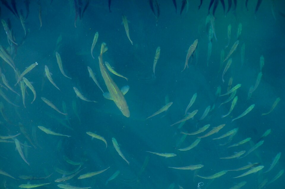 Ocean water underwater