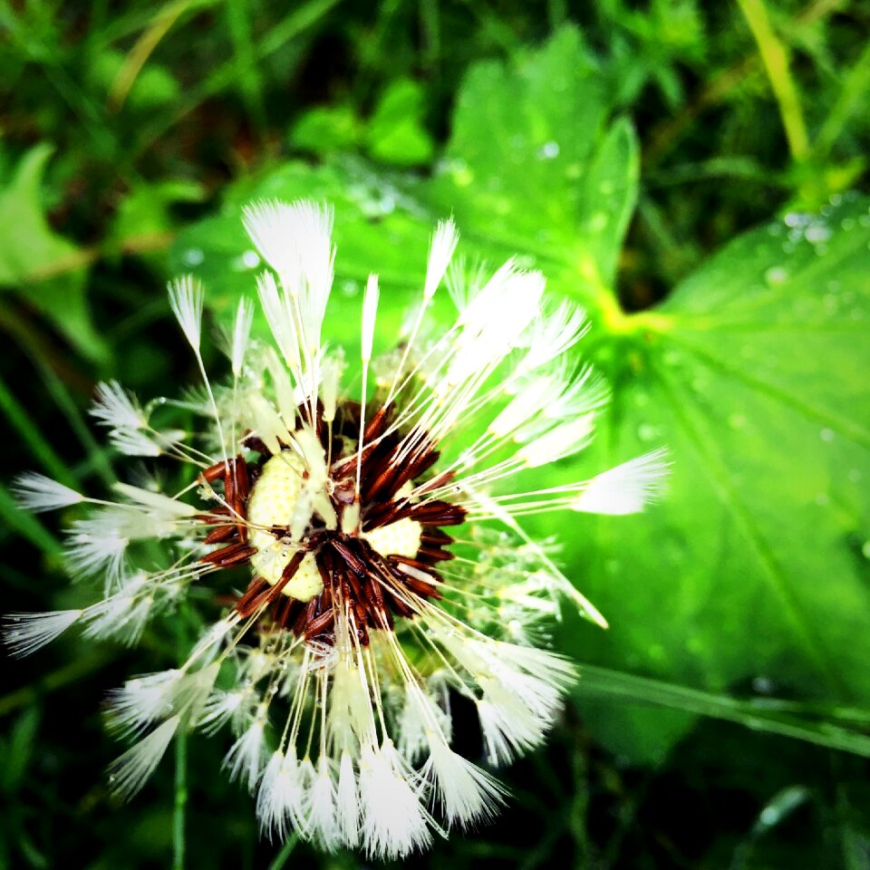 Sorry summer wistful