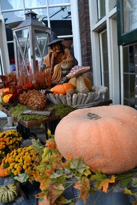Presentation autumn pumpkin
