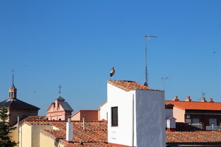 Nature alcala de henares spain