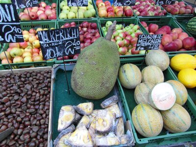 Fruits exotic still life