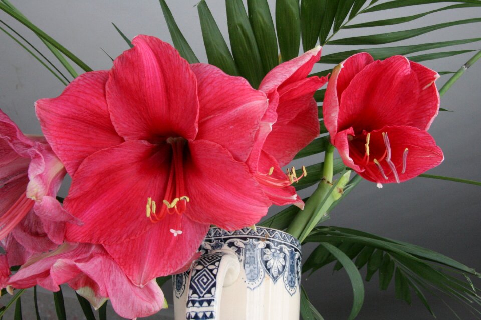Red flowers vase cut flowers