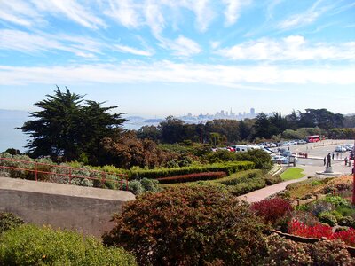 Park landscape california photo