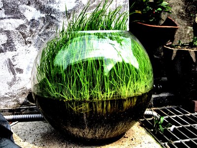 Turf art street art