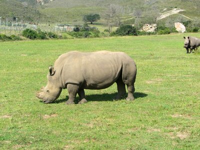 Animal zoo park