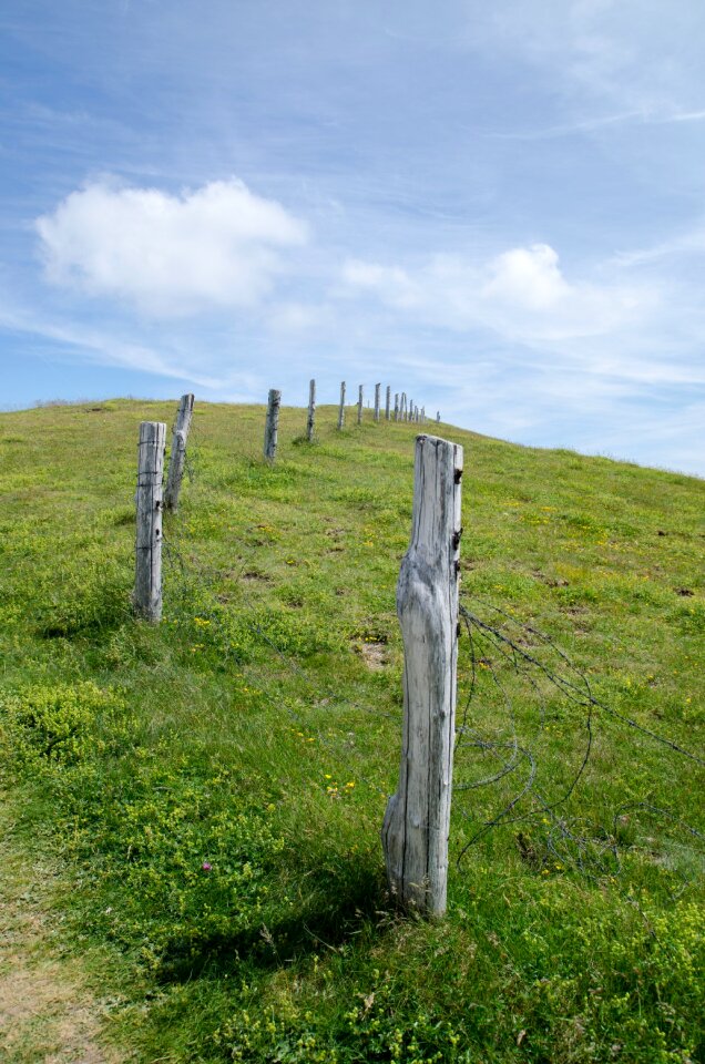 Green blue landscape