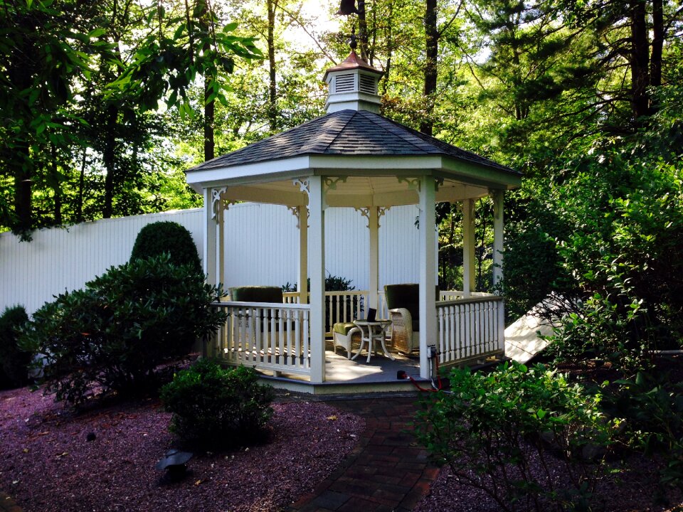 Park garden forest