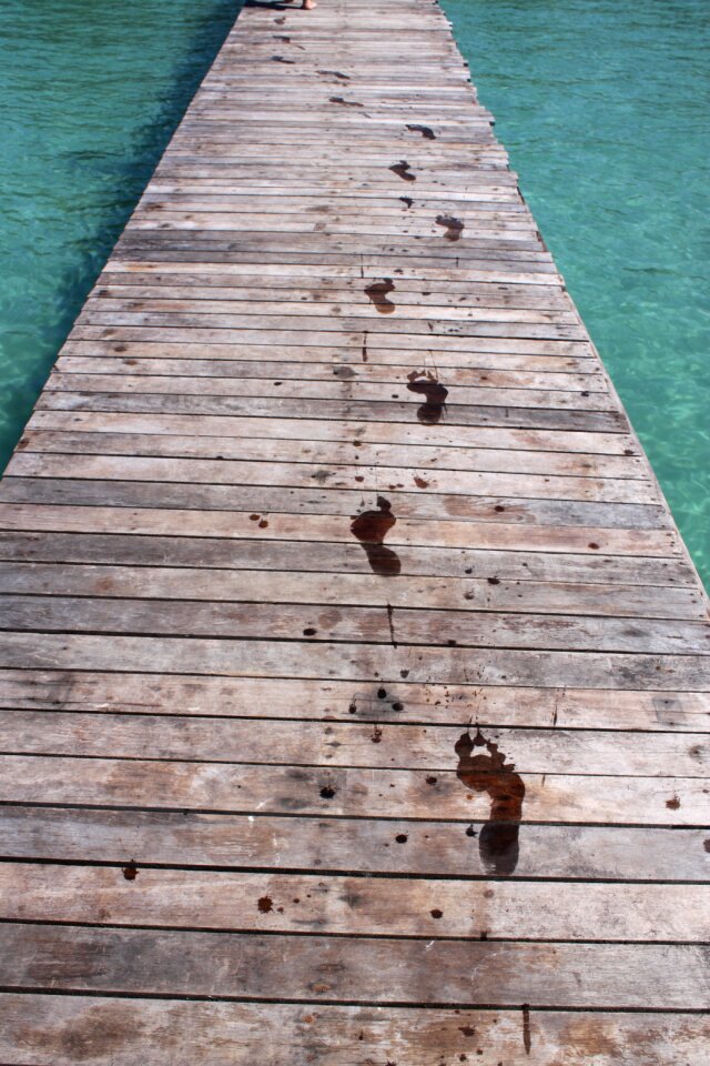 Bridge tracks wooden bridge