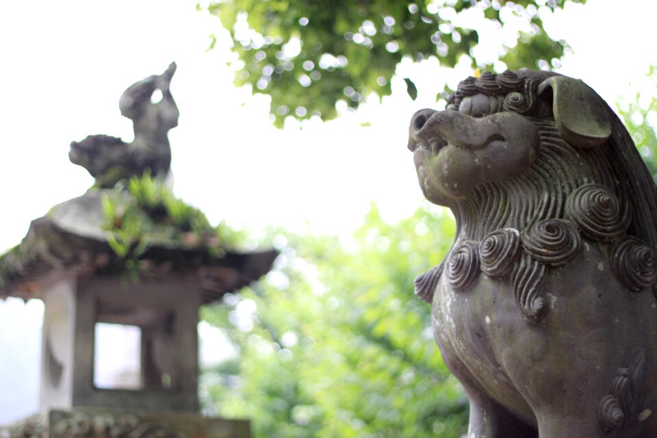 Guardian lion-dog at shinto shrine guardian dogs shrine
