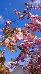 Summer spring sunny