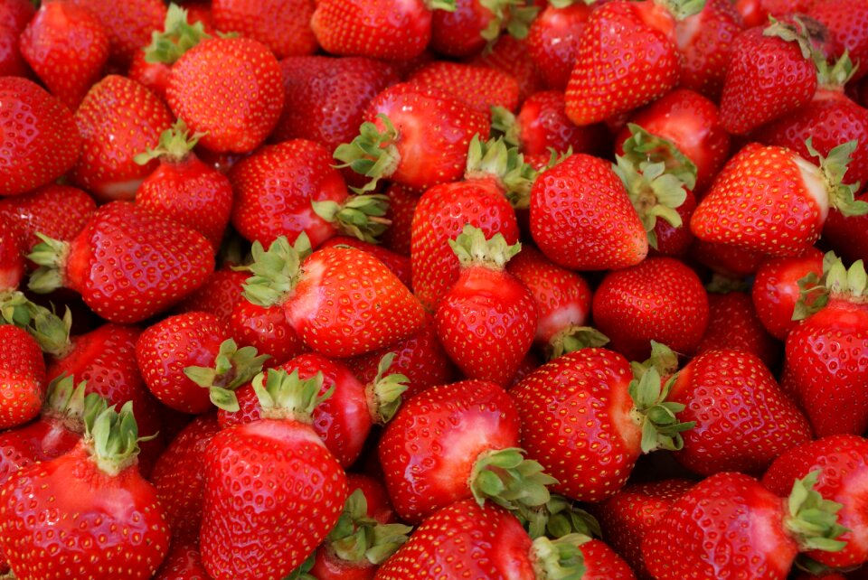 Red strawberries red strawberry earth ripe fruit