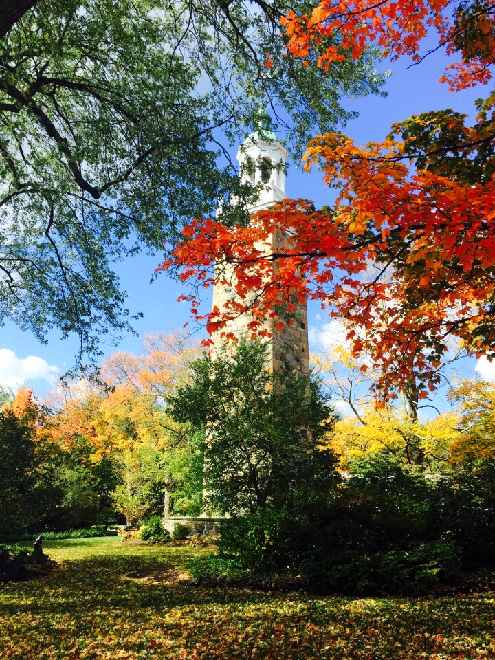 Outdoor clock tower fall trees