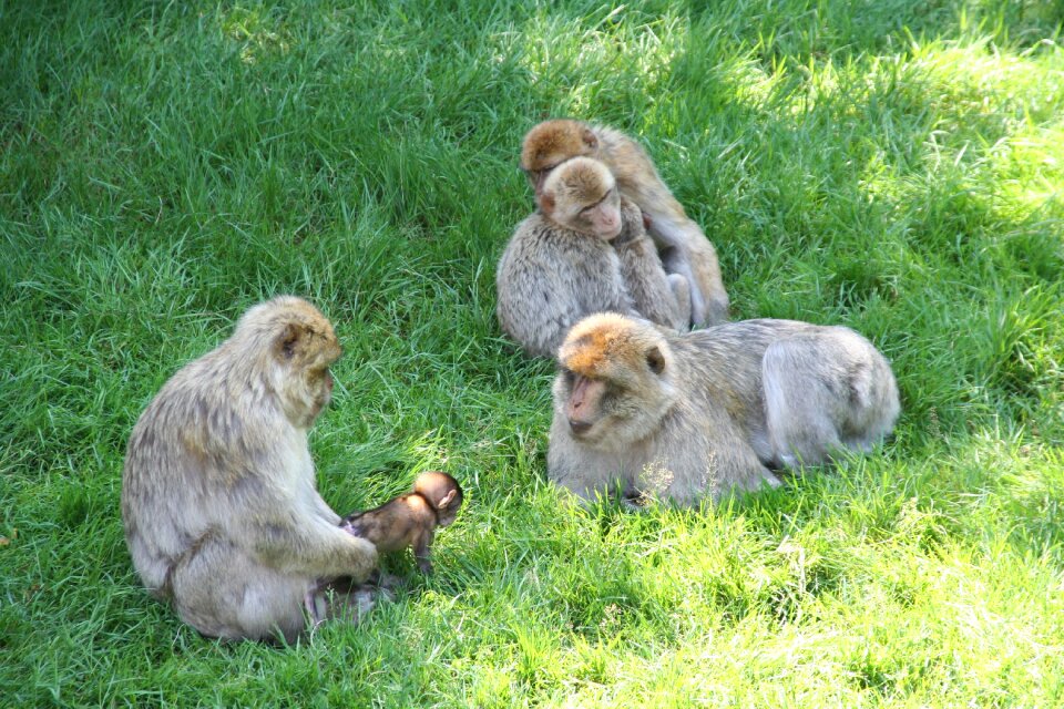 Prairie famely zoo
