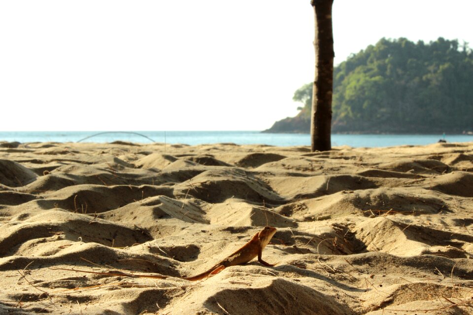 Travel nature