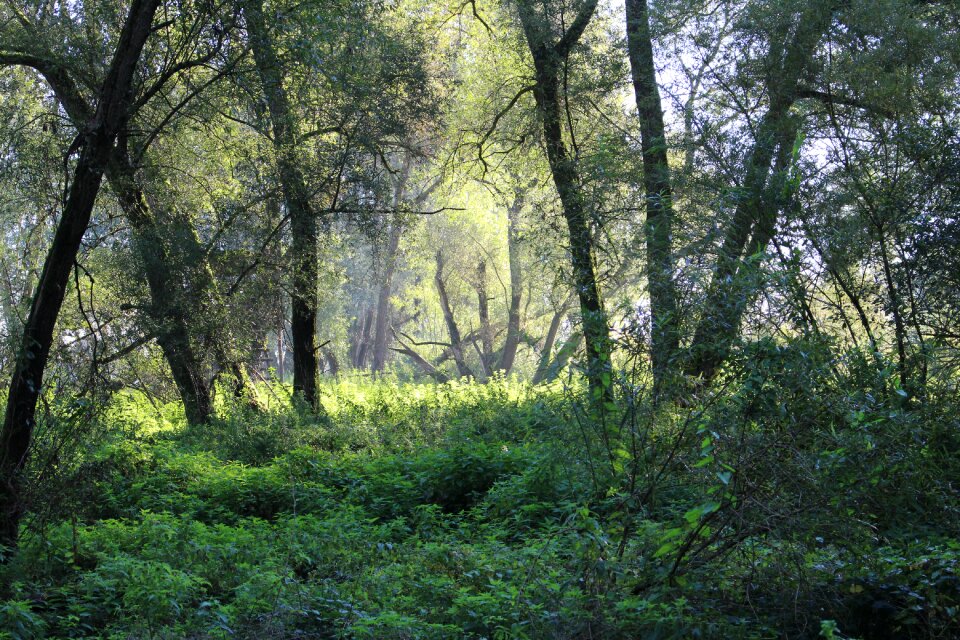 Landscape light mood