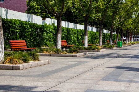 Trees views street