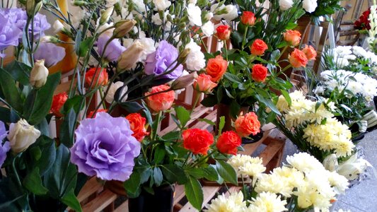 Colorful bouquet white