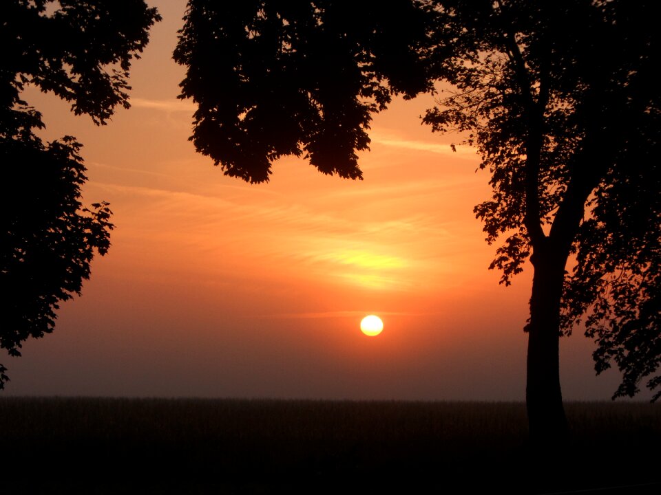 Breaking dawn romania ialomita