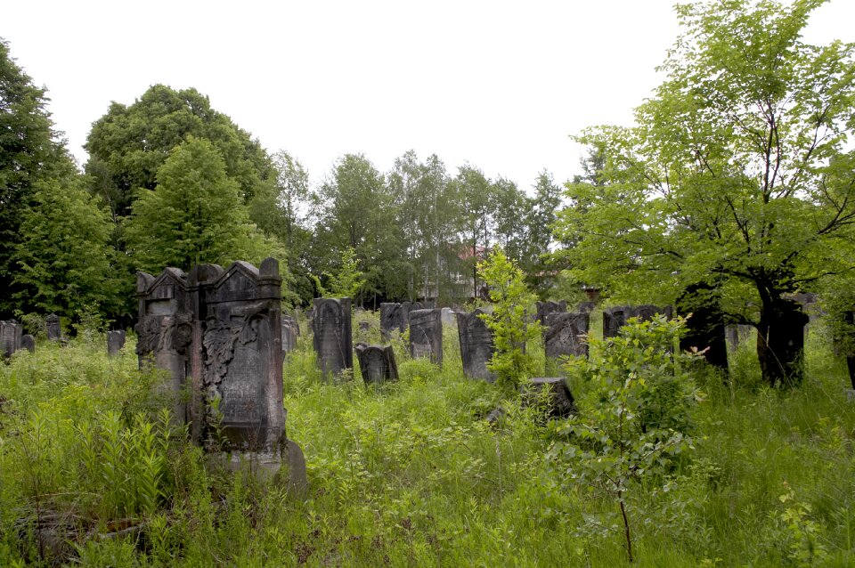 Graves cementary old