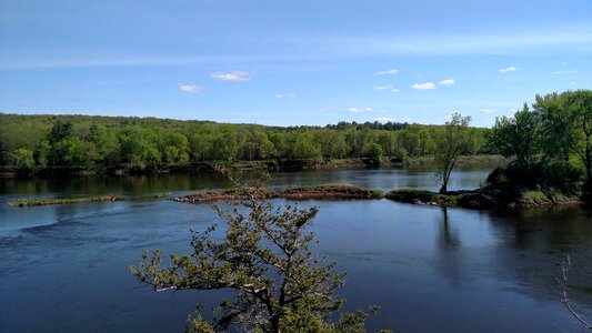 Spring nature river water