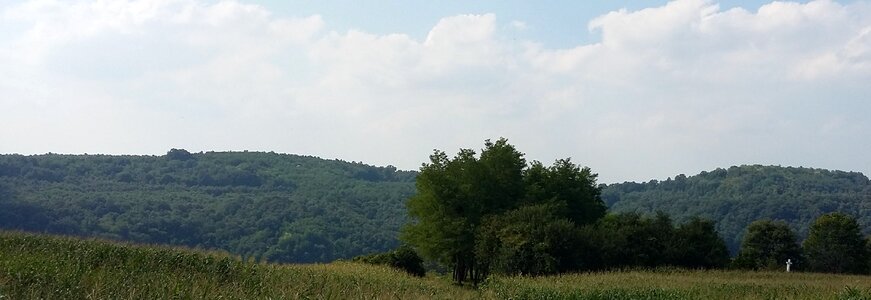 Forest nature hills