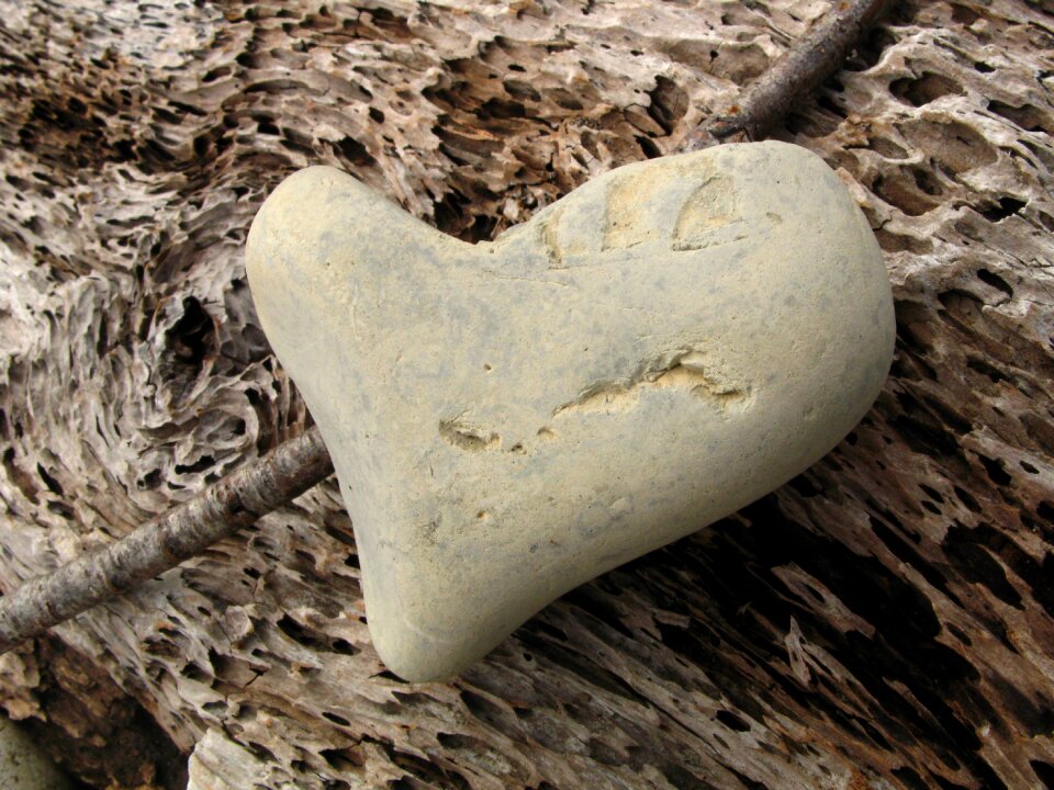 Nature love symbol